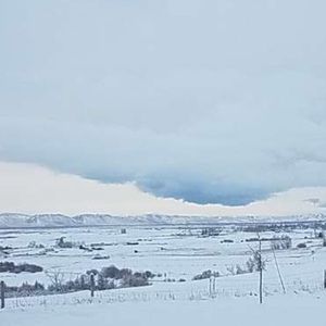 Meet your Posher, Morgun